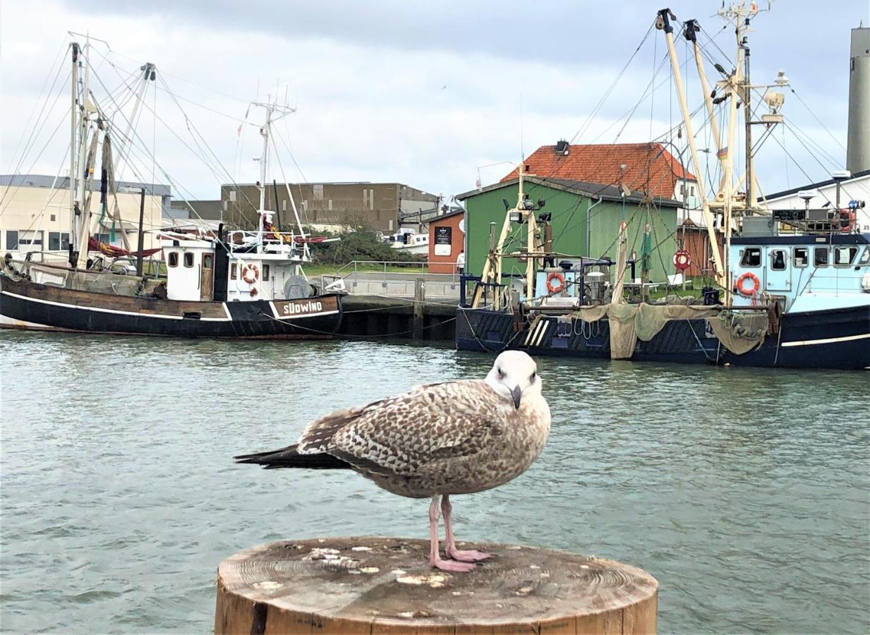 kutterbude Büsum - Bude I Exterior foto